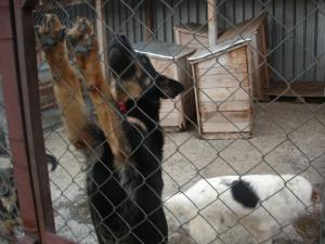 Прикачена снимка