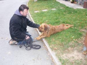 Прикачена снимка