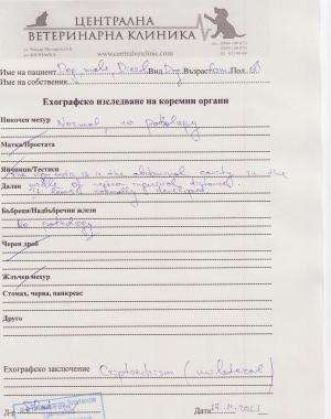 Прикачена снимка