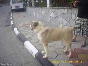 Прикачена снимка