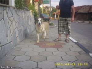Прикачена снимка
