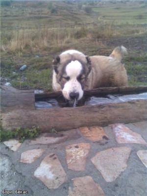 Прикачена снимка