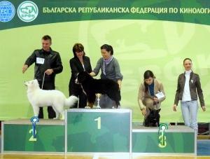 Прикачена снимка
