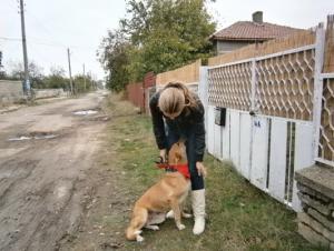 Прикачена снимка