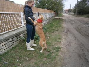 Прикачена снимка