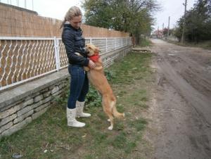 Прикачена снимка
