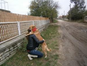 Прикачена снимка