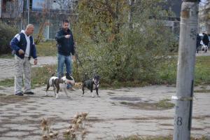 Прикачена снимка