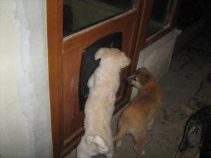 Прикачена снимка