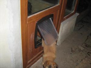 Прикачена снимка