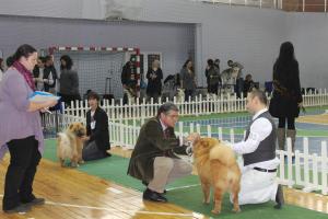 Прикачена снимка