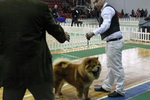 Прикачена снимка