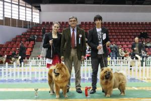 Прикачена снимка