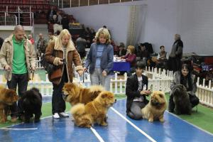 Прикачена снимка