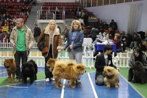 Прикачена снимка