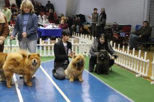Прикачена снимка