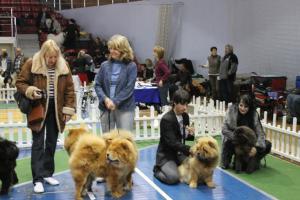 Прикачена снимка