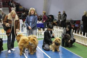 Прикачена снимка