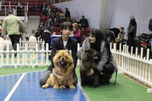 Прикачена снимка