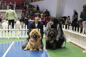 Прикачена снимка