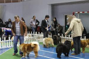 Прикачена снимка