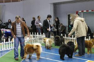 Прикачена снимка
