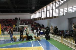 Прикачена снимка