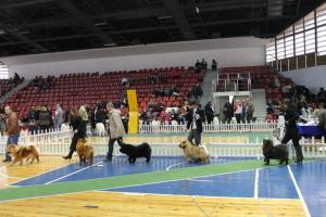Прикачена снимка