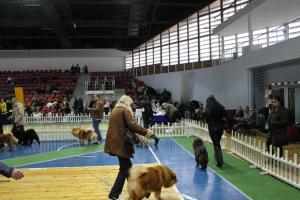 Прикачена снимка