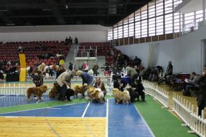 Прикачена снимка