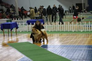 Прикачена снимка