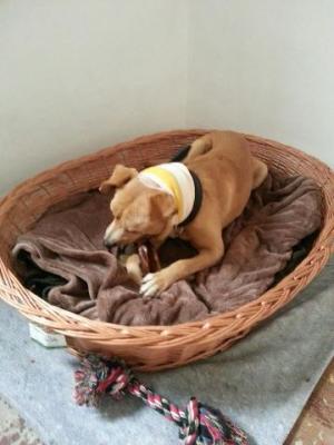 Прикачена снимка