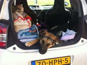 Прикачена снимка