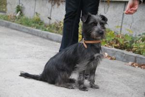 Прикачена снимка