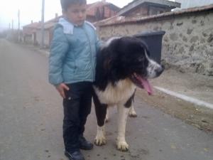 Прикачена снимка