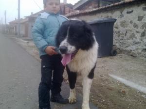 Прикачена снимка