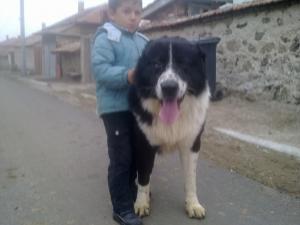 Прикачена снимка
