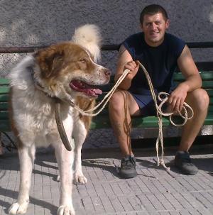 Прикачена снимка