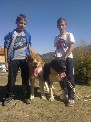 Прикачена снимка