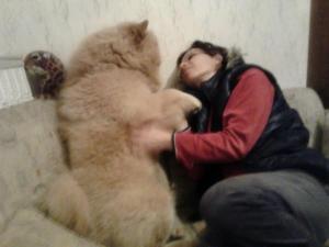 Прикачена снимка