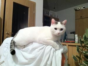 Прикачена снимка