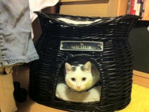 Прикачена снимка