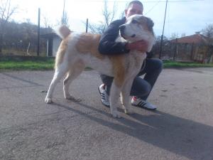 Прикачена снимка