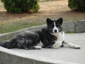Прикачена снимка
