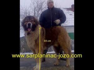 Прикачена снимка