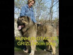 Прикачена снимка