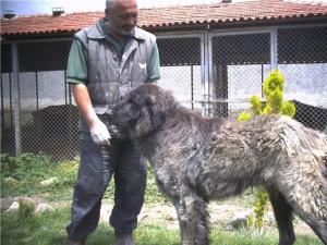 Прикачена снимка