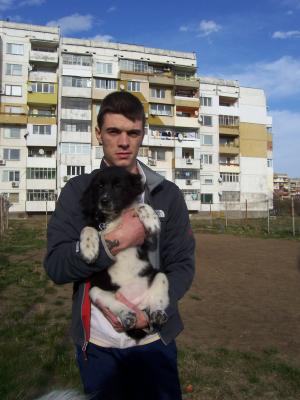 Прикачена снимка