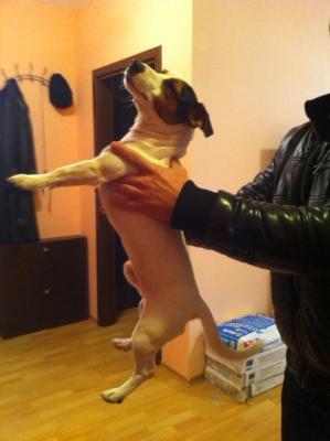 Прикачена снимка