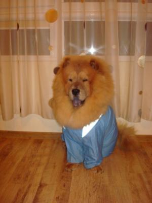 Прикачена снимка